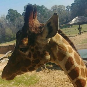 Meet your Posher, Haley